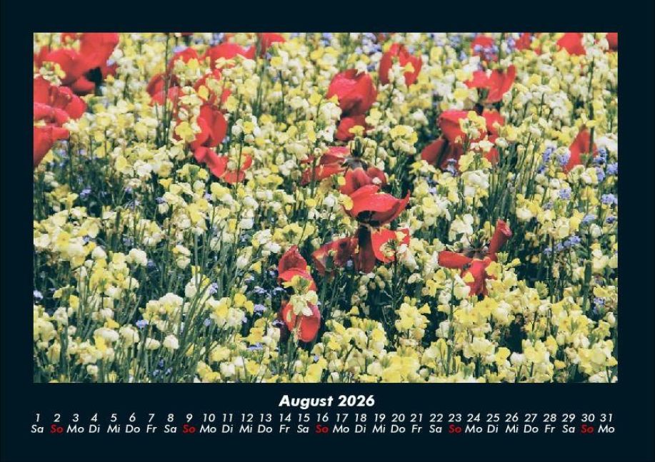 InsideView 12