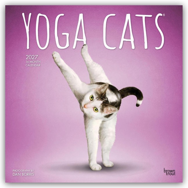 Yoga Cats - Katzen Yoga 2027 - 16-Monatskalender - Browntrout Publishers