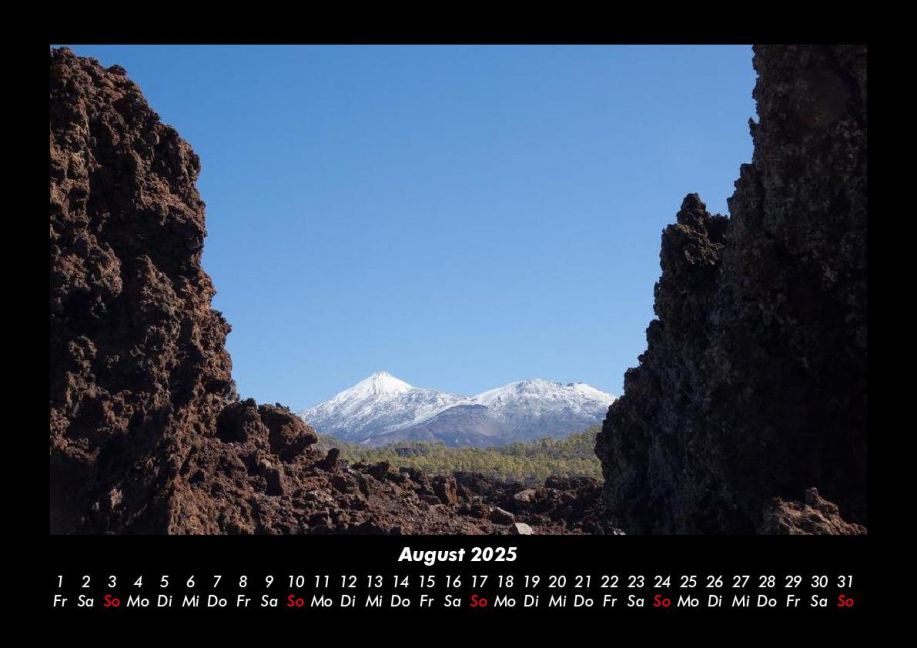 InsideView 12