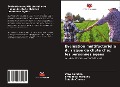 Cover-Bild zum Titel 'Évaluation multifactorielle du risque de chute chez les personnes âgées' von 'Vera Coimbra, Ermelinda Marques, Cláudia Chaves'