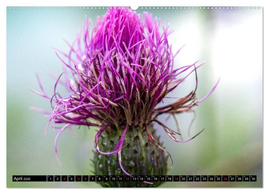 InsideView 8
