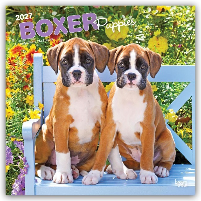 Boxer Puppies - Boxer Welpen 2027 - 16-Monatskalender - Browntrout Publishers