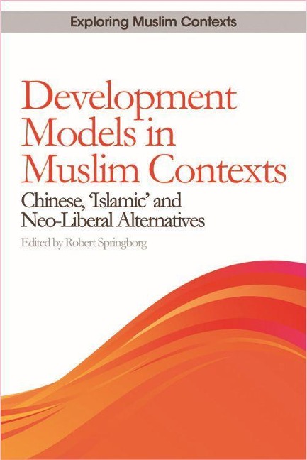Development Models in Muslim Contexts - 