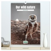 Our wild nature, American birds (High Quality Premium Wall Calendar 2026 DIN A2 portrait),CALVENDO 12 Month Wall Calendar - Alain Gaymard
