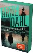Cover-Bild zum Titel 'Kaltes Fieber' von 'Arne Dahl'