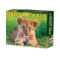 Baby Animals 2025 6.2 X 5.4 Box Calendar - Willow Creek Press