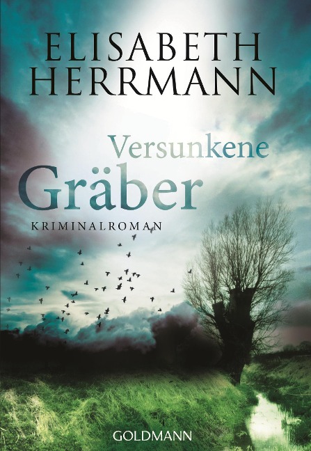 Versunkene Gräber - Elisabeth Herrmann