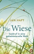 Cover-Bild zum Titel 'Die Wiese' von 'Jan Haft'