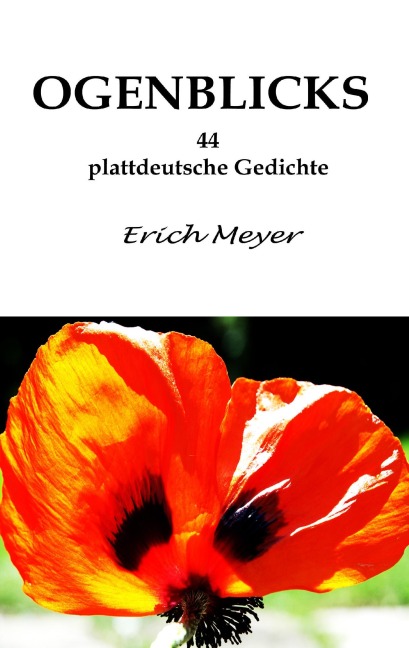 Ogenblicks - Erich Meyer