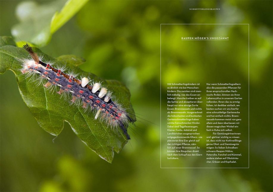 InsideView 4