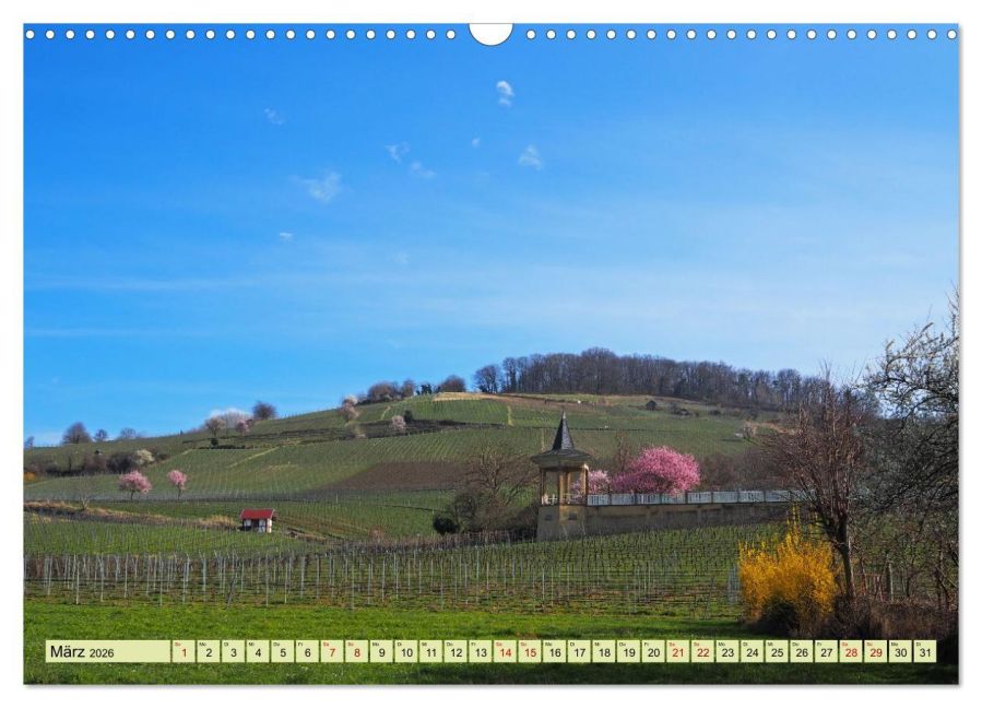 InsideView 8