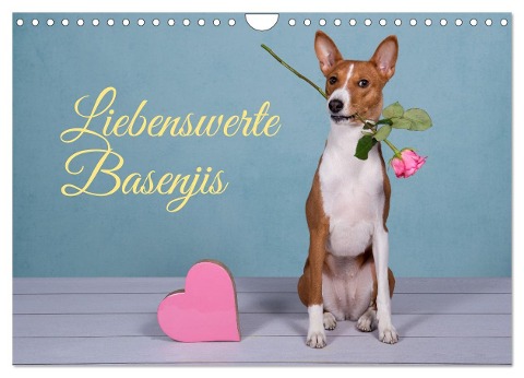Liebenswerte Basenjis (Wandkalender 2024 DIN A4 quer), CALVENDO Monatskalender - Angelika Joswig