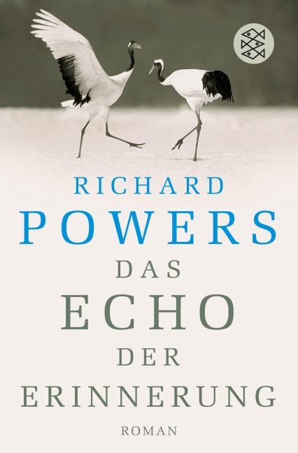 Das Echo der Erinnerung - Richard Powers