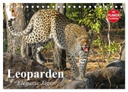 Cover-Bild zum Titel 'Leoparden. Elegante Jäger (Tischkalender 2026 DIN A5 quer), CALVENDO Monatskalender' von 'Elisabeth Stanzer'