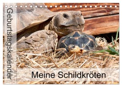 Cover-Bild zum Titel 'Meine Schildkröten - Geburtstagskalender (Tischkalender 2026 DIN A5 quer), CALVENDO Monatskalender' von 'Marion Sixt'