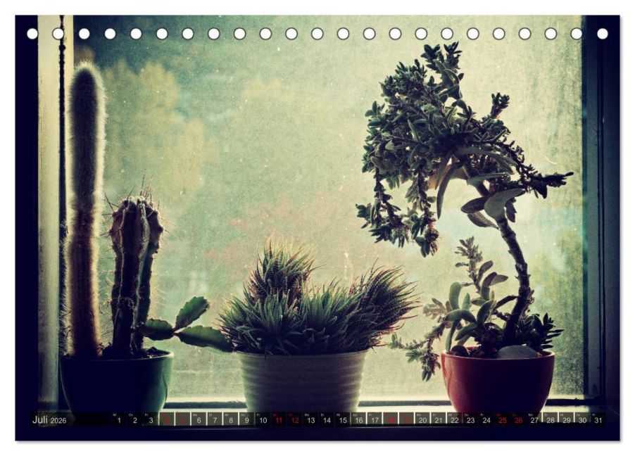 InsideView 12