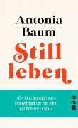Cover-Bild zum Titel 'Stillleben' von 'Antonia Baum'
