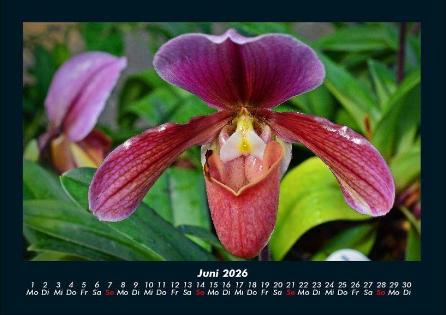 InsideView 10