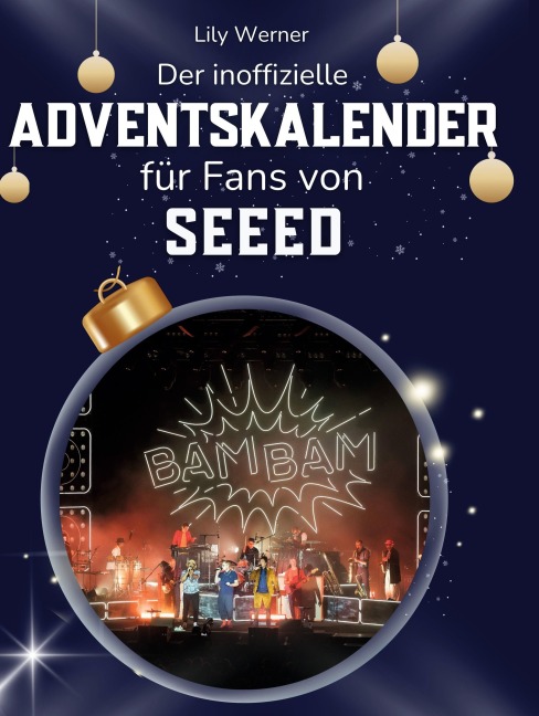 Der inoffizielle Adventskalender für Fans von Seeed - Lily Werner