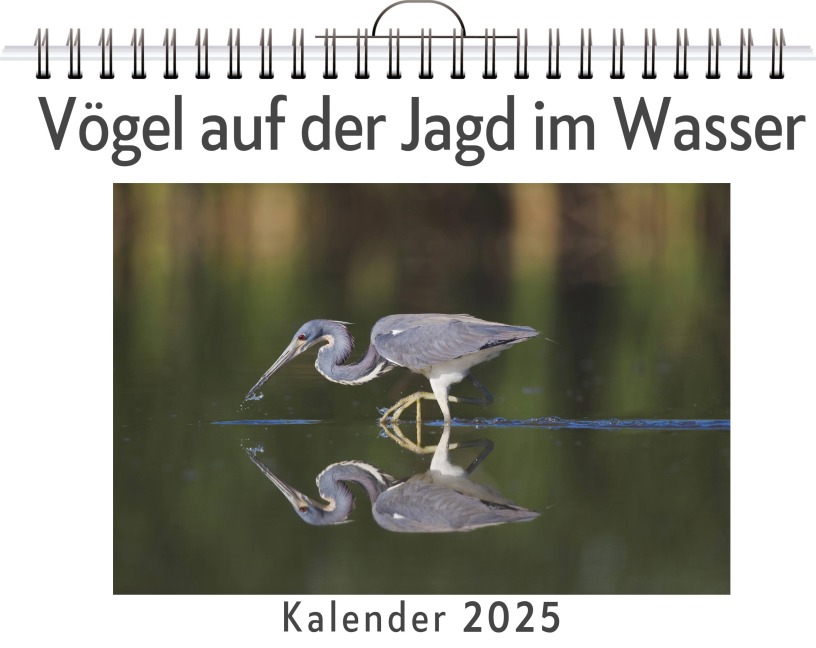 Vögel auf der Jagd im Wasser - Linus Wolf