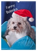 Cover-Bild zum Titel 'Funny Bolonka (Wandkalender 2026 DIN A3 hoch), CALVENDO Monatskalender' von 'Weh-Zet Weh-Zet'