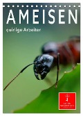 Ameisen quirlige Arbeiter (Tischkalender 2025 DIN A5 hoch), CALVENDO Monatskalender - Peter Roder