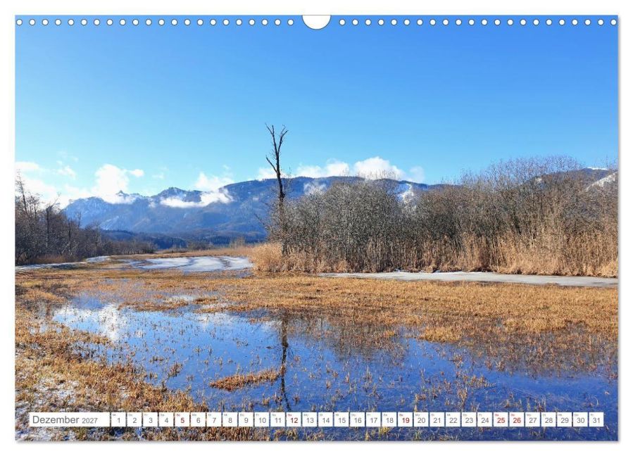 InsideView 4