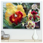Cover-Bild zum Titel 'Prächtige Orchideen (hochwertiger Premium Wandkalender 2026 DIN A2 quer), Kunstdruck in Hochglanz' von 'Gisela Kruse'