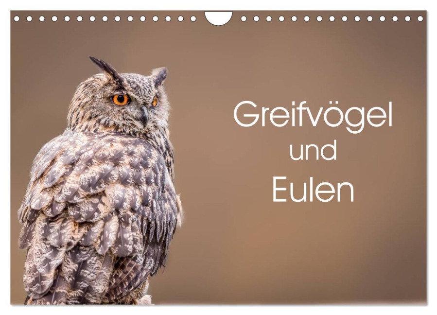 Greifvögel und Eulen (Wandkalender 2026 DIN A4 quer), CALVENDO Monatskalender - Markus van Hauten