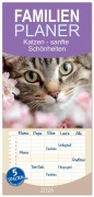 Cover-Bild zum Titel 'Familienplaner 2026 - Katzen - sanfte Schönheiten mit 5 Spalten (Wandkalender, 21 x 45 cm) CALVENDO' von 'Daniela Bertschi'