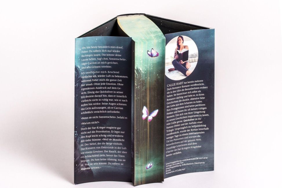 InsideView 4