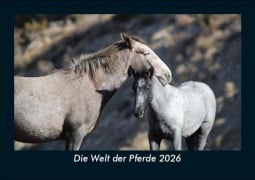 Cover-Bild zum Titel 'Die Welt der Pferde 2026 Fotokalender DIN A5' von 'Tobias Becker'