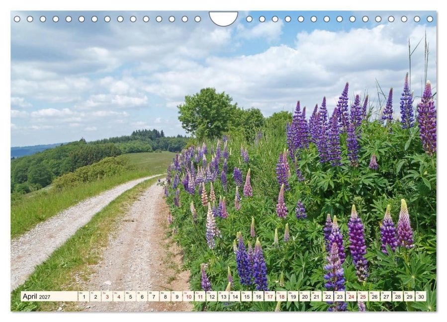 InsideView 9