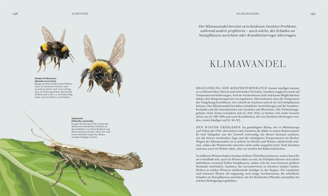 InsideView 6