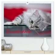 Cover-Bild zum Titel 'Rassekatzen (hochwertiger Premium Wandkalender 2026 DIN A2 quer), Kunstdruck in Hochglanz' von 'Melanie Viola'