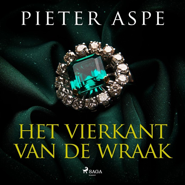 Het vierkant van de wraak - Pieter Aspe
