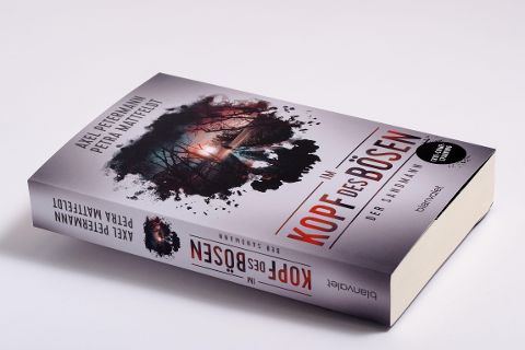 InsideView 2