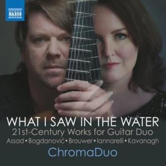 What I Saw in the Water - ChromaDuo