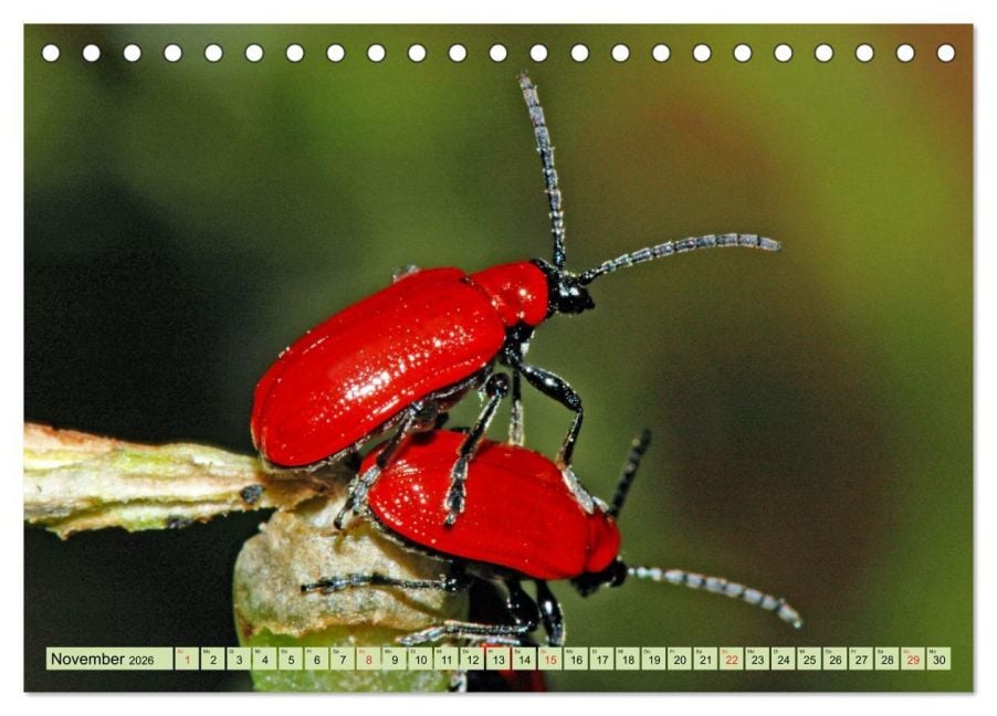 InsideView 3