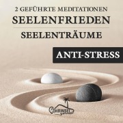 Cover-Bild zum Titel 'Seelenfrieden - 2 Geführte Meditationen gegen Stress' von 'Alan Fields'