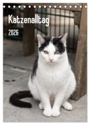Katzenalltag 2026 (Tischkalender 2026 DIN A5 hoch), CALVENDO Monatskalender - Daniela Scholz