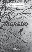 Cover-Bild zum Titel 'Nigredo' von 'Roland Vaschalde'