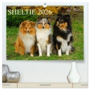 Cover-Bild zum Titel 'Sheltie 2026 (hochwertiger Premium Wandkalender 2026 DIN A2 quer), Kunstdruck in Hochglanz' von 'Sigrid Starick'