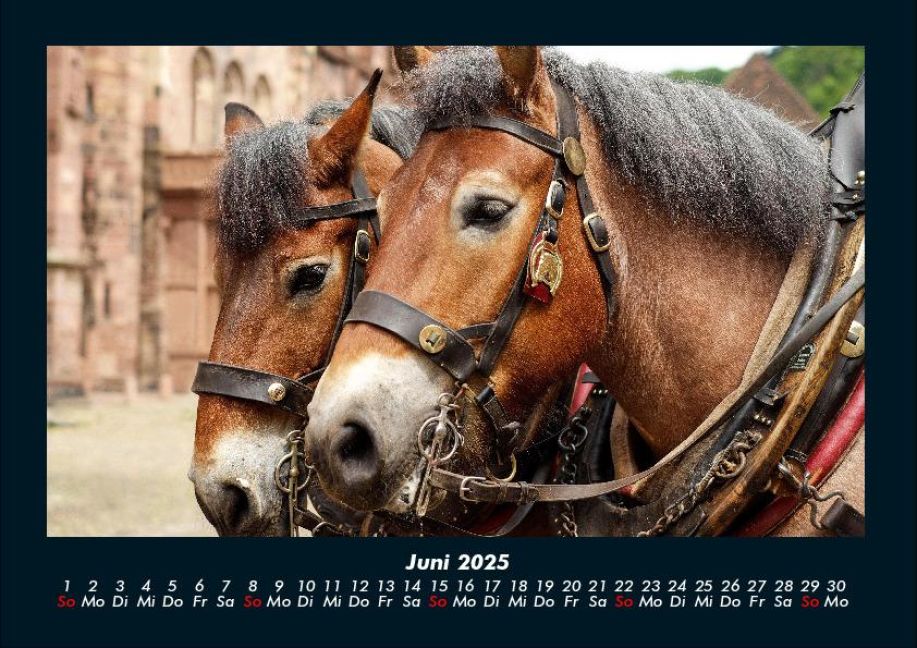 InsideView 10