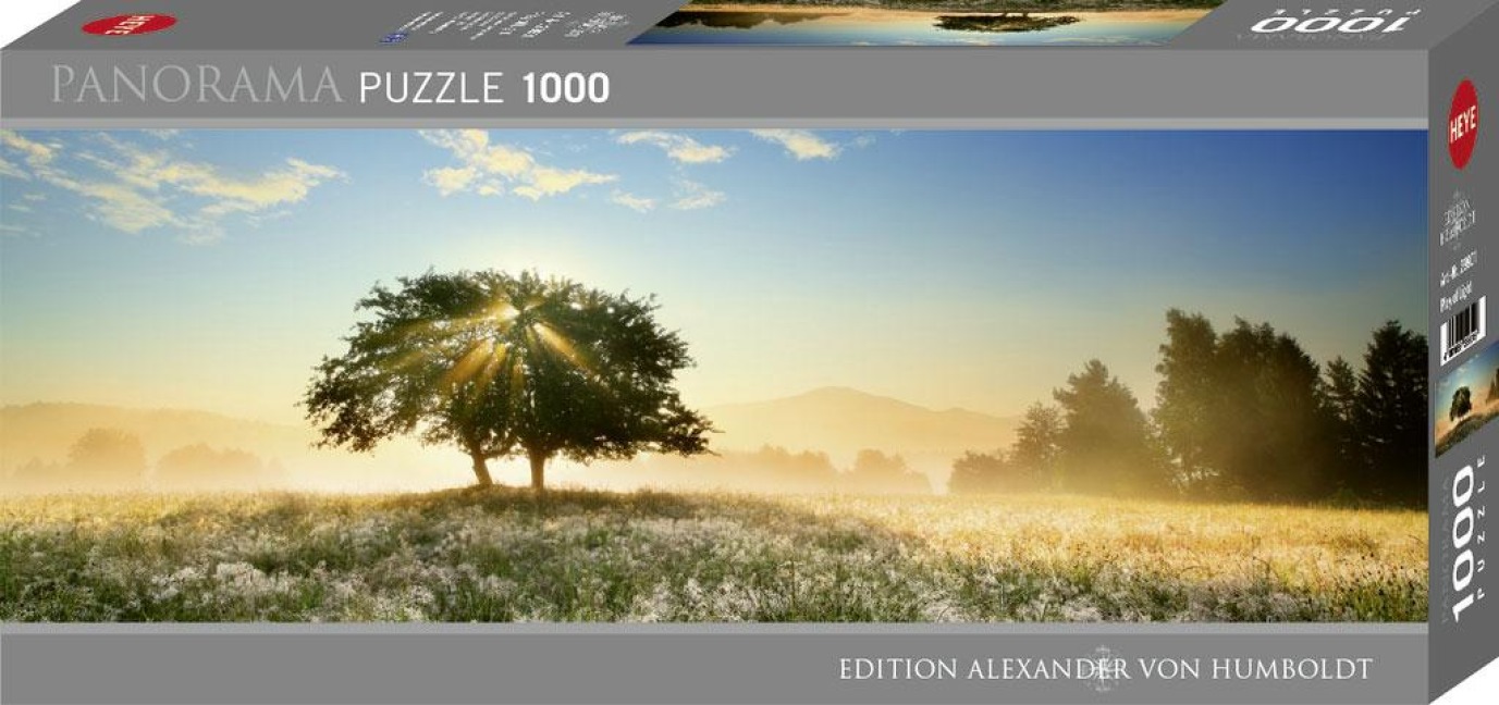 Play of Light - Edition Humboldt