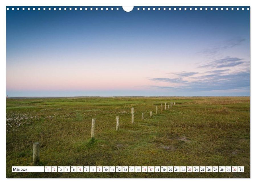 InsideView 10