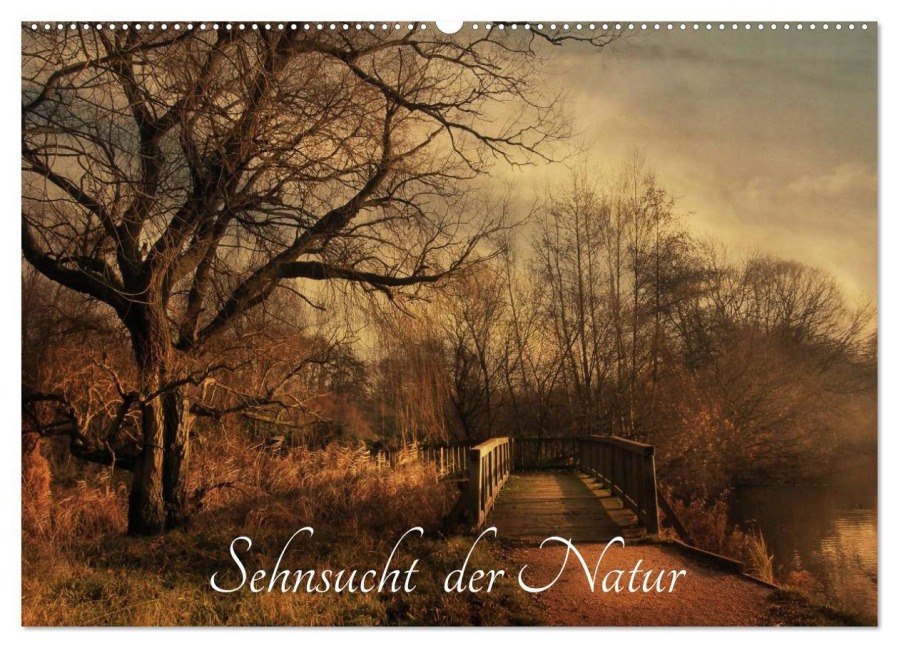 Sehnsucht der Natur (Wandkalender 2026 DIN A2 quer), CALVENDO Monatskalender - RavenArt RavenArt