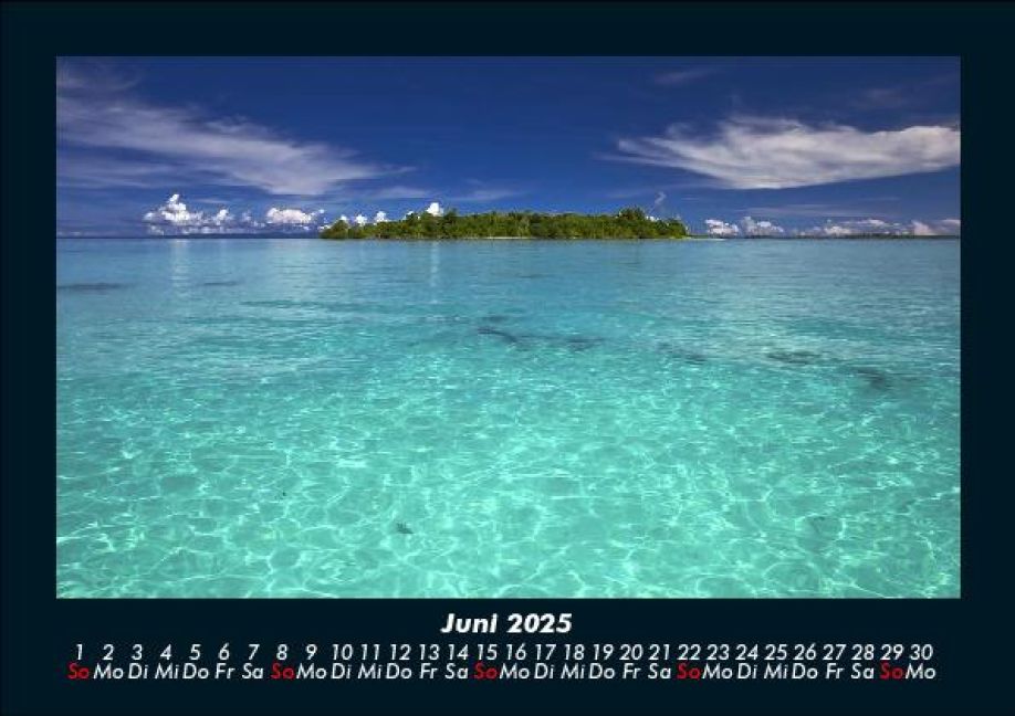 InsideView 10