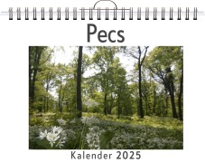 Cover-Bild zum Titel 'Pecs' von 'Lily Hofmann'