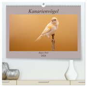 Cover-Bild zum Titel 'Kanarienvögel - Bunte Welt (hochwertiger Premium Wandkalender 2026 DIN A2 quer), Kunstdruck in Hochglanz' von 'Akrema-Photography Akrema-Photography'